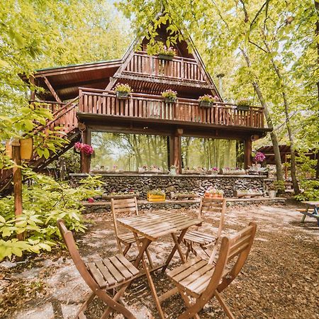 Matilde'S Chalet Etna Nature House Nicolosi Exterior foto