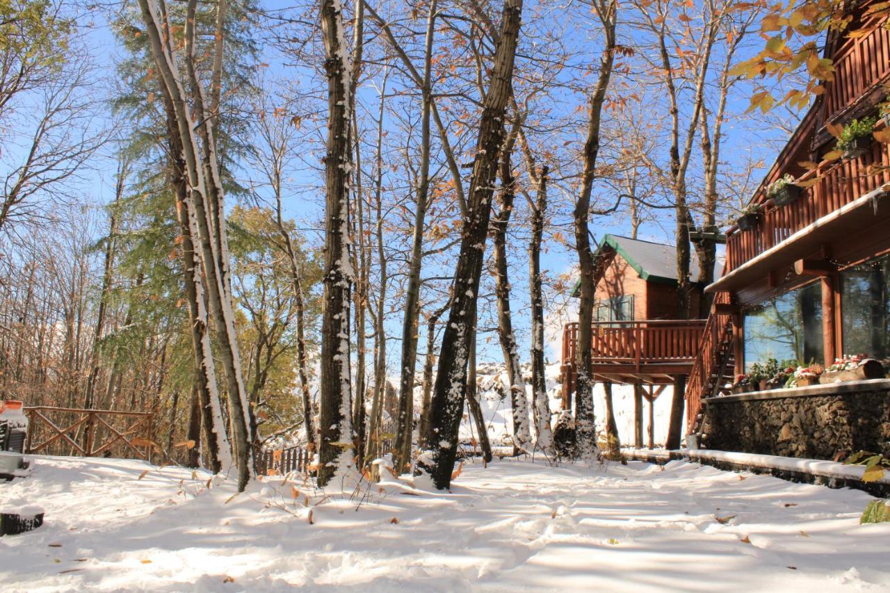Matilde'S Chalet Etna Nature House Nicolosi Exterior foto